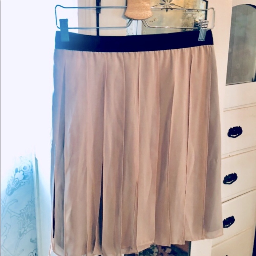 Ann Taylor swingy pleated skirt